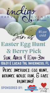Easter Egg Hunt Indigo Market by Keep it Calm Events