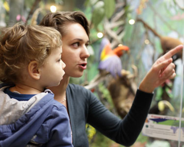 Kids Hernando, Citrus, North and West Pasco County: Temporary Exhibits and Displays - Fun 4 Nature Coast Kids