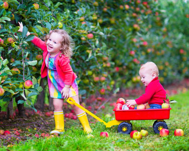 Kids Hernando and Citrus County: Apple U-Pick Farms - Fun 4 Nature Coast Kids