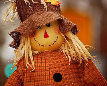 Kids Hernando and Citrus County: Halloween and Fall Displays - Fun 4 Nature Coast Kids