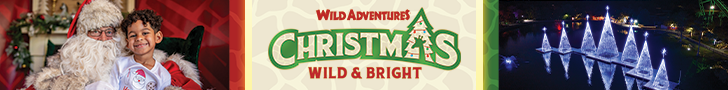 Wild Adventures Christmas 2024