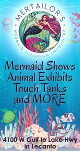 Mertailors Aquarium