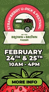 Brown and Brown Farms Strawberry Festival