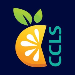 library logo 2.jpeg