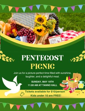 pentecost picnic.jpg