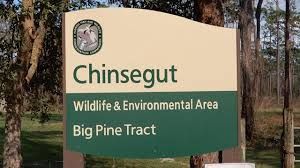 chinsegut conservation center.jpg