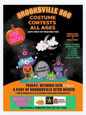 brooksville boo costume contest.jpg