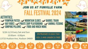 funville farm fall festival.jpg