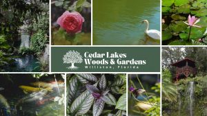 cedar lakes woods and gardens.jpg