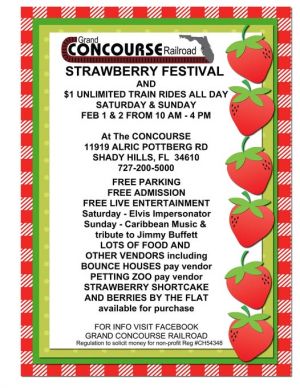 grand concourse strawberry fest.jpg