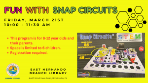 fun with snap circuits.png