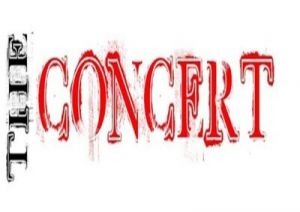 the concert.jpeg