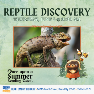 HE_Reptile_show_6.5.25.png