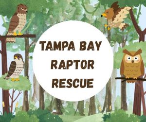 CP_ET_SRCTampaBayRaptorRescue.jpg