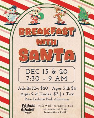 GSI25_WEEK_SM-Web_Breakfast-with-Santa_202511175.jpg