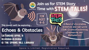 04. STEM Tales Echos and Obstacles SMTV.png