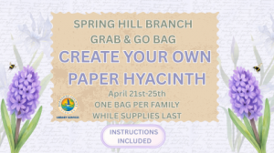 04. Grab & Go Bag Paper Hyacinth SMTV.png