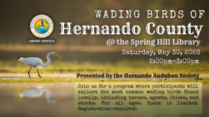 05. Wading Birds of Hernando County SMTV.png