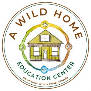 A Wild Home Woodshop and Florida Wild School Summer Camps