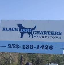 Black Dog Charters Yankeetown
