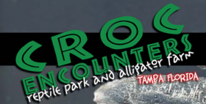 Tampa - Croc Encounters Reptile Park and Wildlife Center