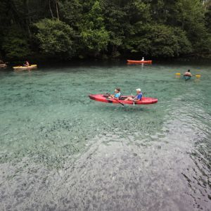 Ruth B Kirby Gilchrist Blue Springs State Park