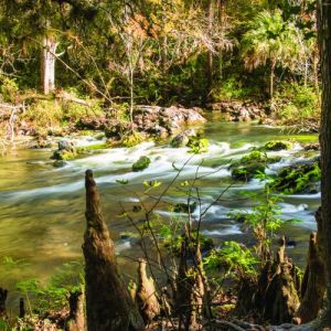 Hillsborough River State Park