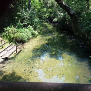 Henry Beck Park