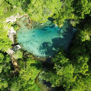 Ichetucknee Springs