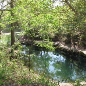 Lafayette Blue Springs State Park