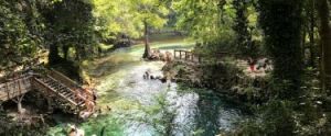 Madison Blue Spring State Park