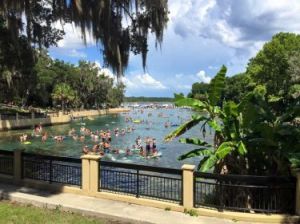Salt Springs