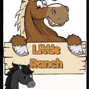 Little Ranch Birthday Parties