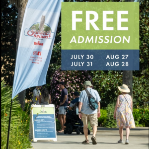Bok Tower Gardens Summer Fun Days