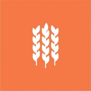 Lets Feed Citrus Food Giveaway