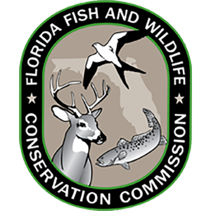 10/17 Chinsegut Conservation Center Spooky Spectacular Fall Festival