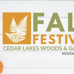 11/07 Cedar Lakes Woods and Gardens Fall Festival