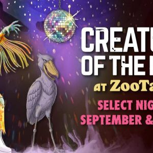09/26 - 10/31 ZooTampa at Lowry Park Creatures of the Night
