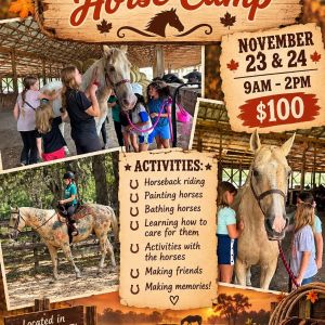 Bryant Manor EQ Thanksgiving Horse Camp