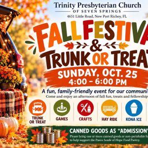 10/25 Trinity Presbyterian Church of Seven Springs Fall Festival and Trunk or Treat