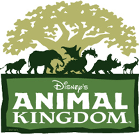 Orlando - Disney's Animal Kingdom