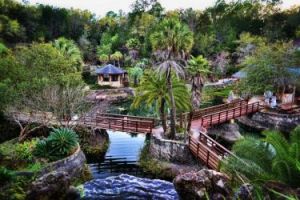 Williston - Cedar Lakes Woods and Gardens