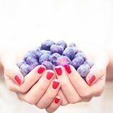 Bette's Blues Blueberry Farm