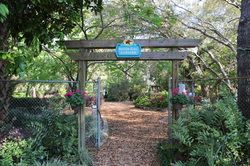 Spring Hill - Nature Coast Botanical Gardens