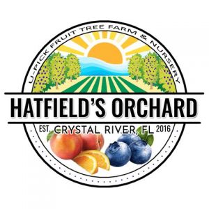 Hatfield's Orchard