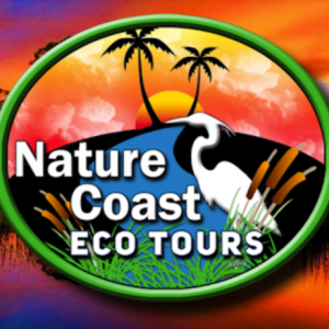 Kids Basic Kayak Day Camp at Nature Coast Eco Tours