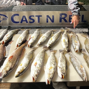 Cast N Reel Fishing Charters