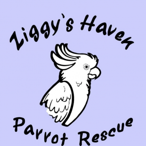 Ziggys Haven Parrot Sanctuary