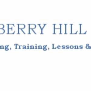 Blueberry Hill Farm Riding lessons