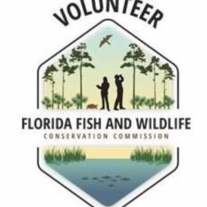 Florida's Fish and Wildlife Volunteering